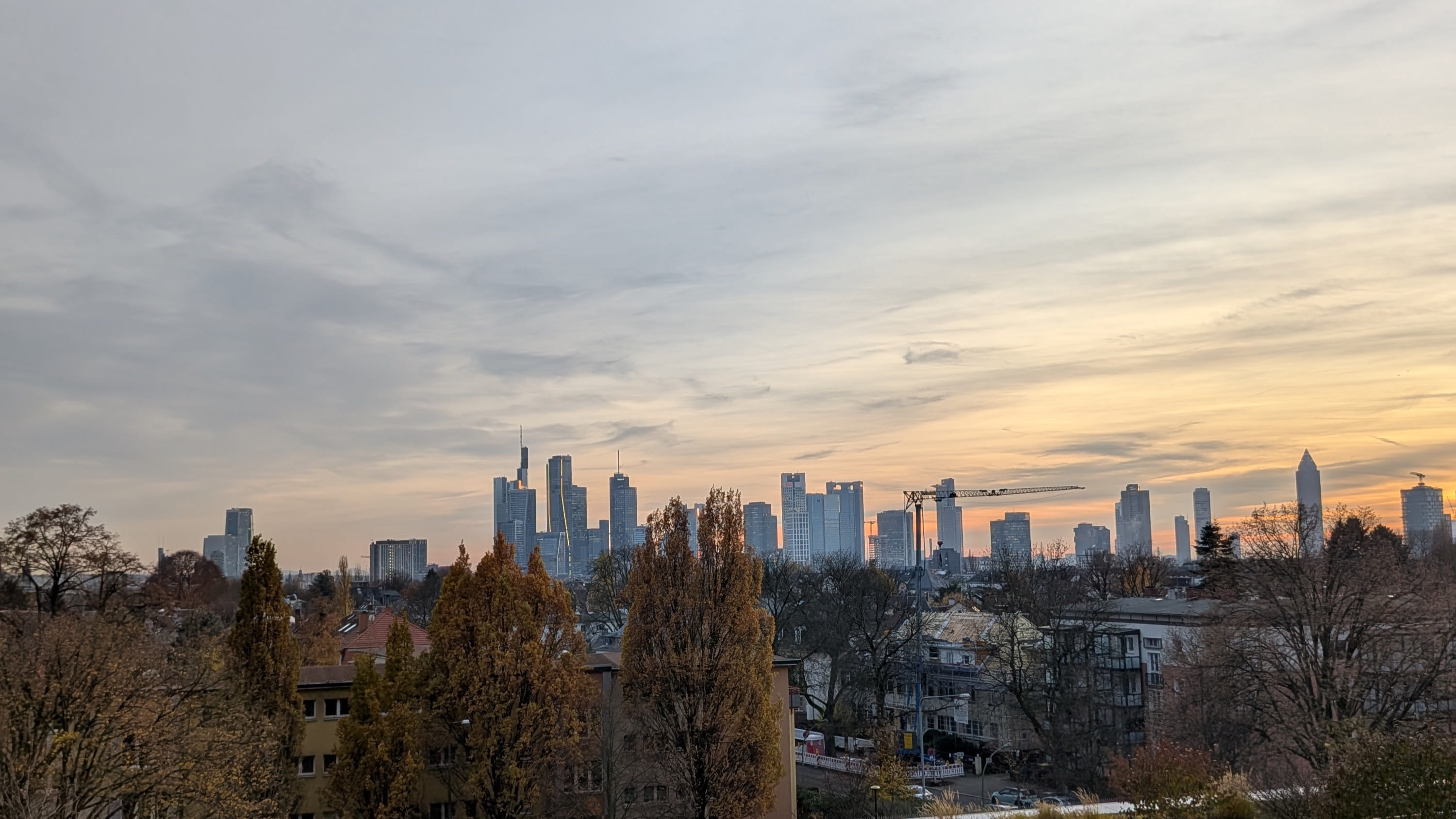 Management Meets Tech: Why I Study Business at Frankfurt School and Offer IT Services